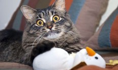 开云体育官网-劳塔罗一锤定音，沙特力克塞内加尔锁定小组出线关键战