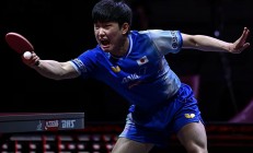 开云体育官方网站-法国队横扫奥地利队，张本智和高光表现的简单介绍