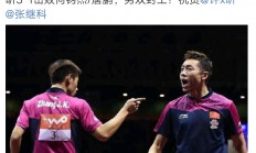 开云体育中国官网-瑞典队力克中国队，张继科刷新纪录的简单介绍