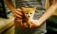 开云体育官网-从美加墨世界杯焦点战到CBA辽宁队，跨越地域的篮球强势叙事