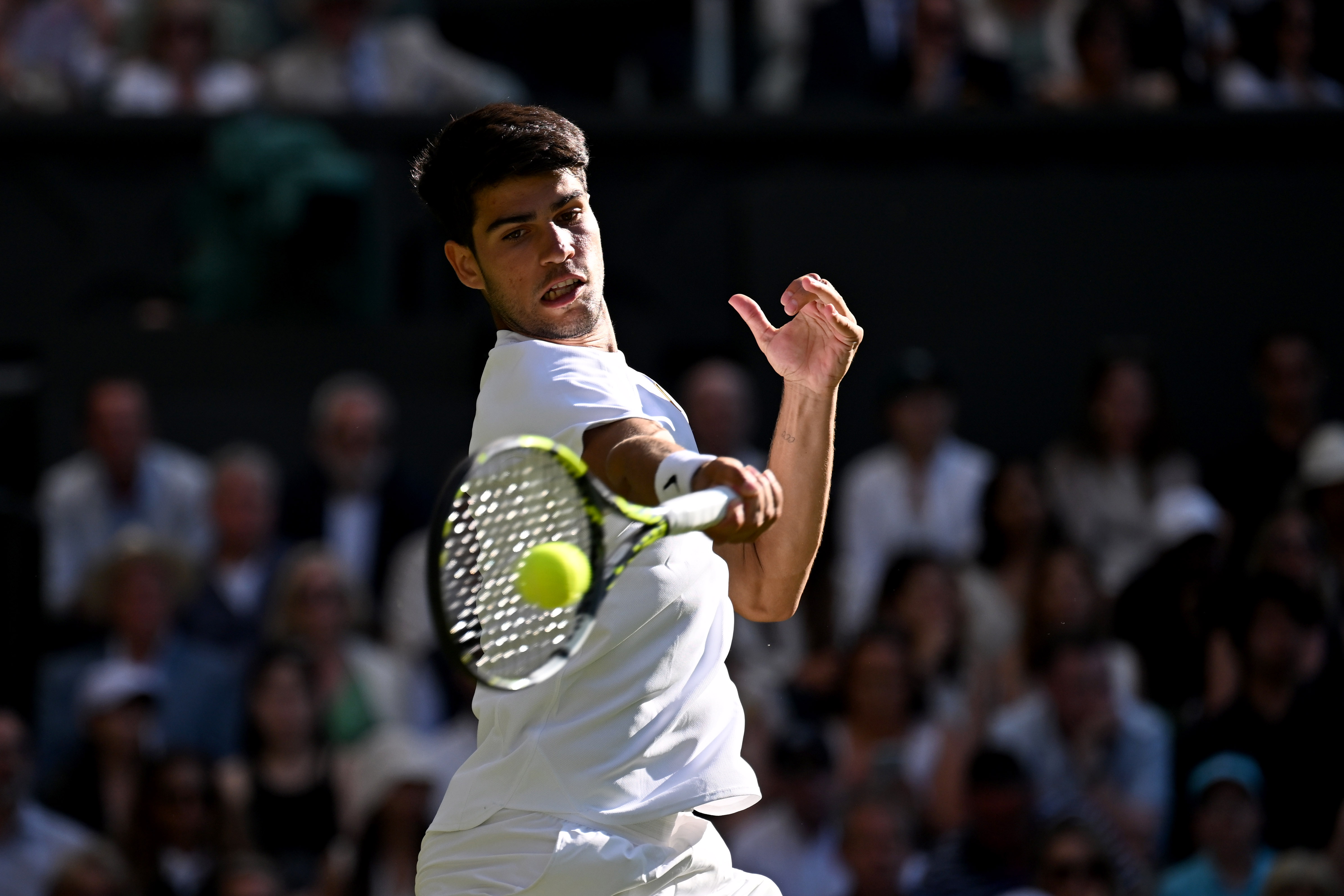 澳网横扫拉沃尔杯，阿尔卡拉斯状态火热的简单介绍