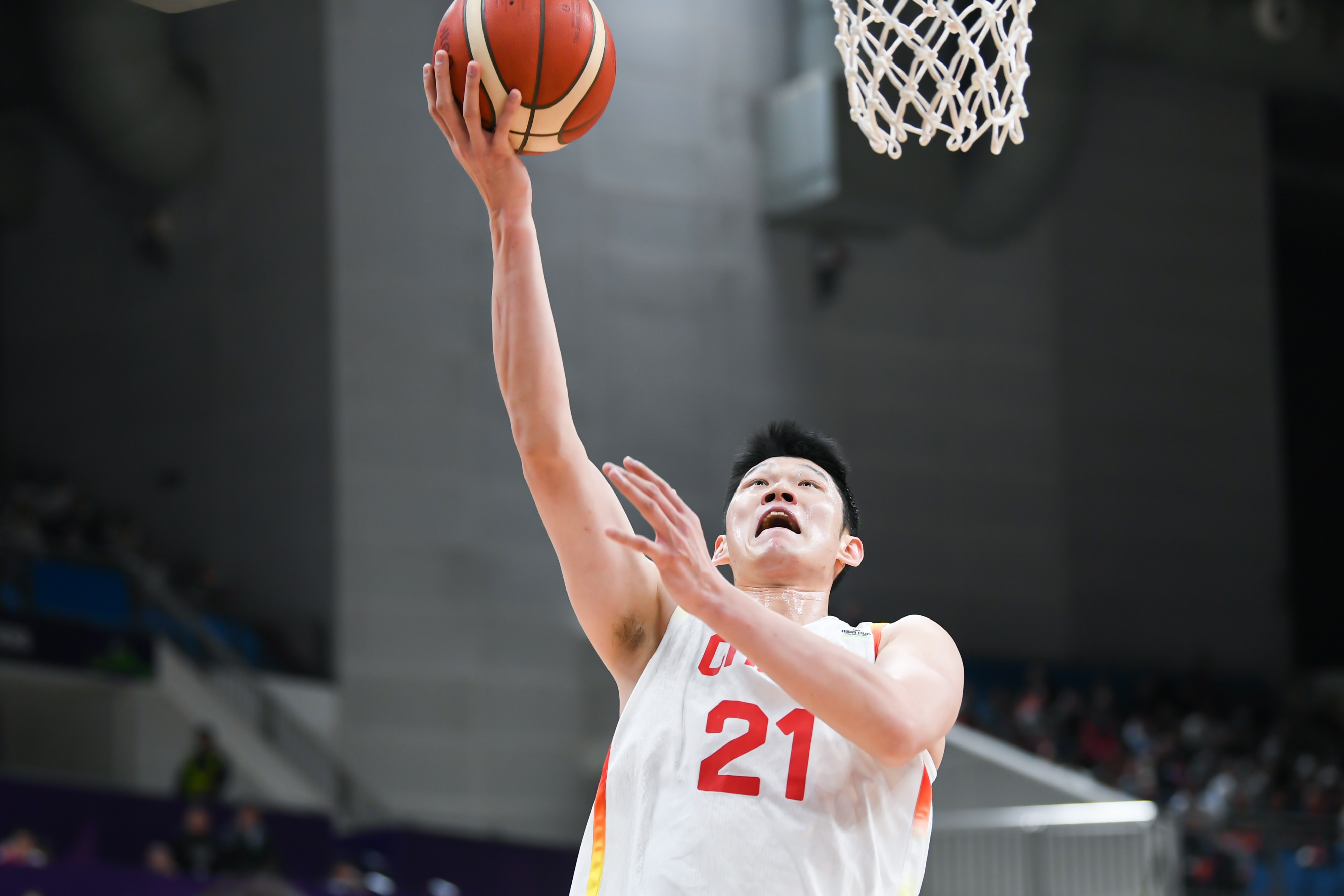 天津队鏖战独行侠，胡金秋关键制胜的简单介绍