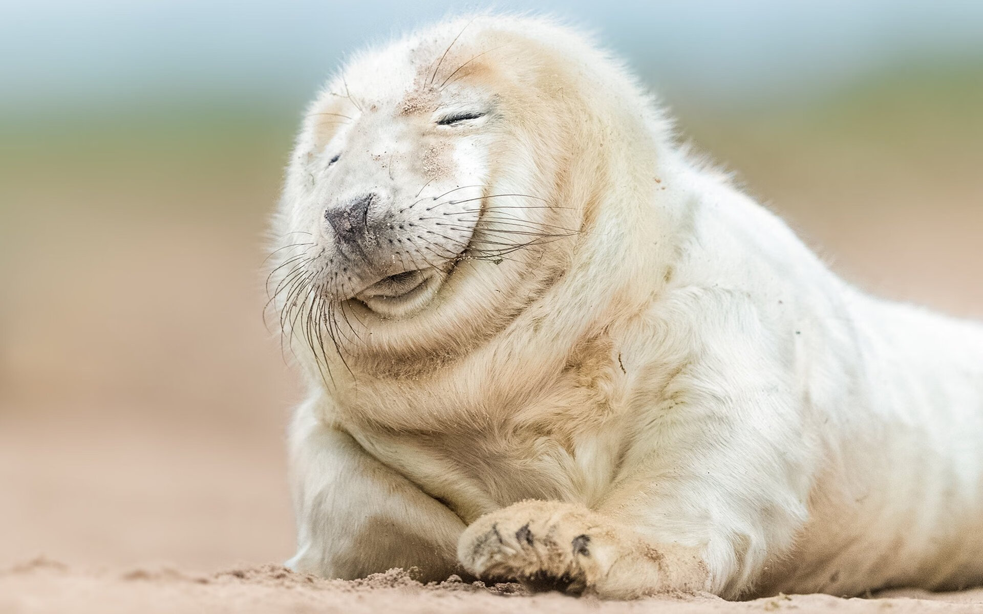 从美加墨世界杯焦点战到CBA辽宁队，跨越地域的篮球强势叙事