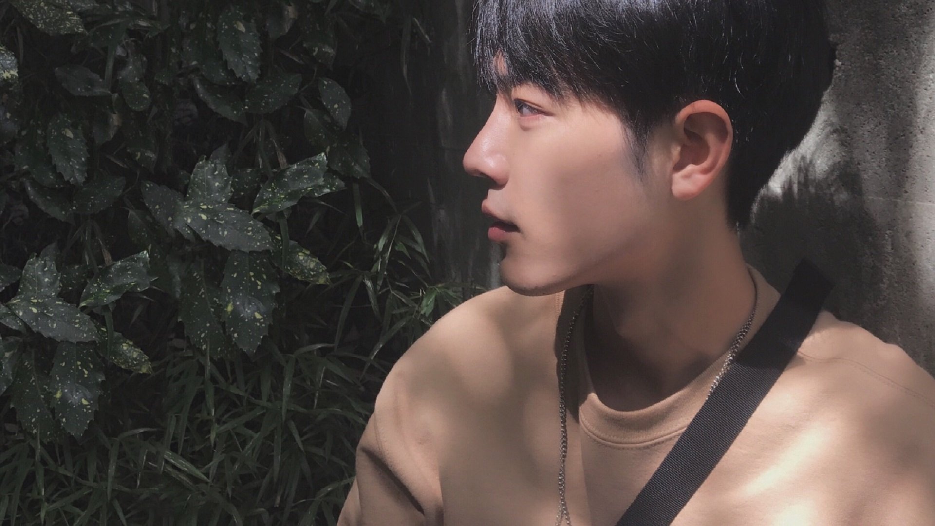 跨界竞技场，辽宁队关键战突围开拓者，哈利伯顿在德甲争冠战接管比赛